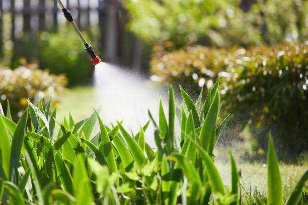24/7 Emergency Ant Control experts in West Branch, MI